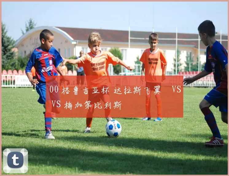 00 格鲁吉亚杯 达拉斯飞翼 VS VS 梅加第比利斯