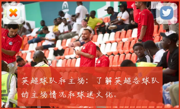 英超球队和主场：了解英超各球队的主场情况和球迷文化。