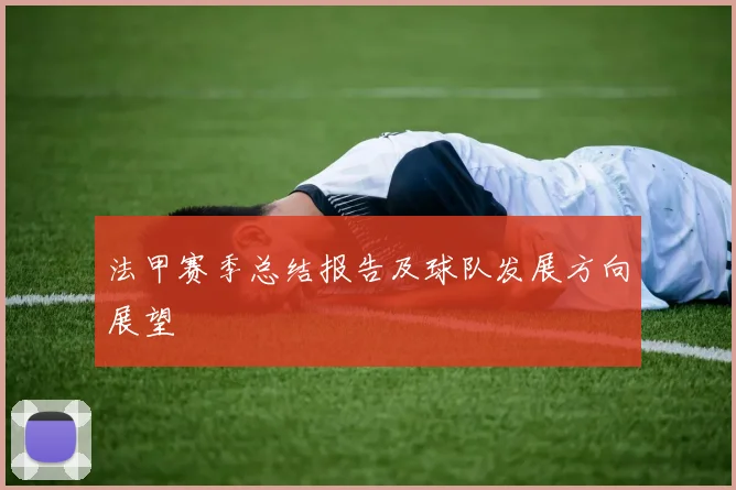 法甲赛季总结报告及球队发展方向展望