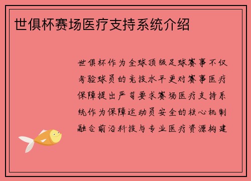 世俱杯赛场医疗支持系统介绍